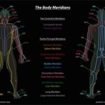 Meridian system chart of TCM